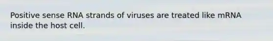 Positive sense RNA strands of viruses are treated like mRNA inside the host cell.