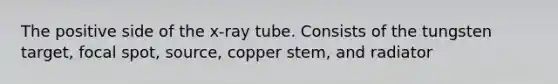 The positive side of the x-ray tube. Consists of the tungsten target, focal spot, source, copper stem, and radiator