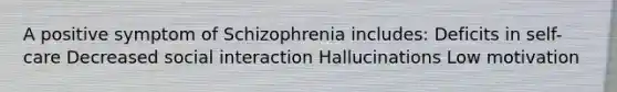 A positive symptom of Schizophrenia includes: Deficits in self-care Decreased social interaction Hallucinations Low motivation