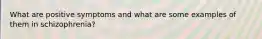 What are positive symptoms and what are some examples of them in schizophrenia?