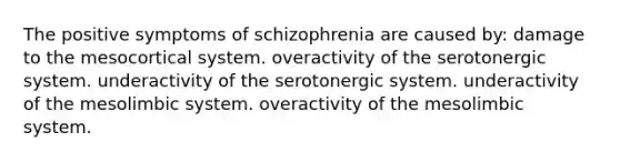 The positive symptoms of schizophrenia are caused by: damage to the mesocortical system. overactivity of the serotonergic system. underactivity of the serotonergic system. underactivity of the mesolimbic system. overactivity of the mesolimbic system.