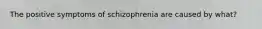 The positive symptoms of schizophrenia are caused by what?