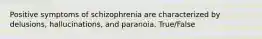 Positive symptoms of schizophrenia are characterized by delusions, hallucinations, and paranoia. True/False