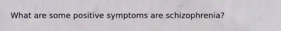 What are some positive symptoms are schizophrenia?