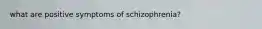 what are positive symptoms of schizophrenia?