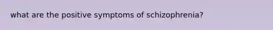 what are the positive symptoms of schizophrenia?