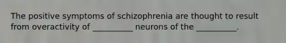 The positive symptoms of schizophrenia are thought to result from overactivity of __________ neurons of the __________.