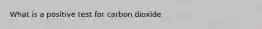 What is a positive test for carbon dioxide