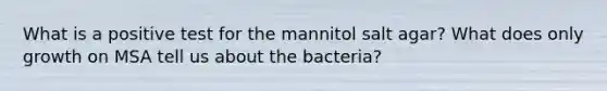 What is a positive test for the mannitol salt agar? What does only growth on MSA tell us about the bacteria?