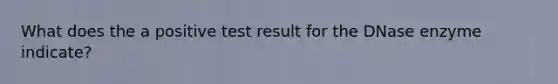 What does the a positive test result for the DNase enzyme indicate?