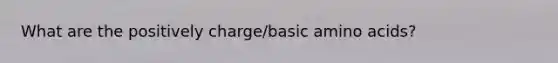 What are the positively charge/basic amino acids?