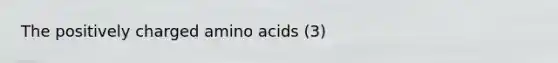 The positively charged amino acids (3)