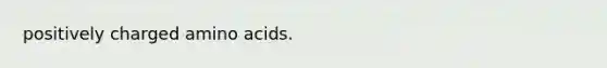 positively charged amino acids.