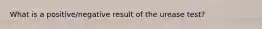 What is a positive/negative result of the urease test?