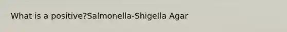 What is a positive?Salmonella-Shigella Agar