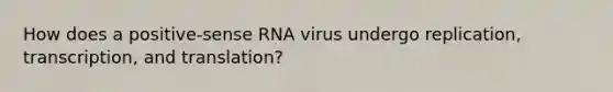 How does a positive-sense RNA virus undergo replication, transcription, and translation?