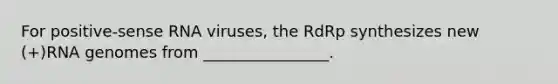 For positive-sense RNA viruses, the RdRp synthesizes new (+)RNA genomes from ________________.