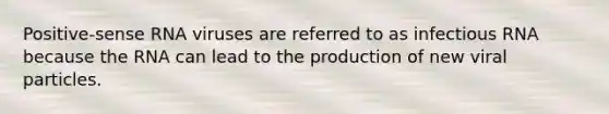Positive-sense RNA viruses are referred to as infectious RNA because the RNA can lead to the production of new viral particles.