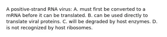 A positive-strand RNA virus: A. must first be converted to a mRNA before it can be translated. B. can be used directly to translate viral proteins. C. will be degraded by host enzymes. ​​D. is not recognized by host ribosomes.