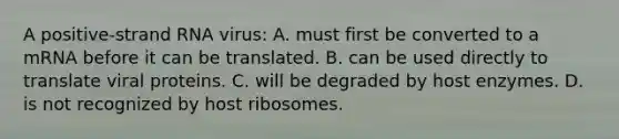 A positive-strand RNA virus: A. must first be converted to a mRNA before it can be translated. B. can be used directly to translate viral proteins. C. will be degraded by host enzymes. D. is not recognized by host ribosomes.