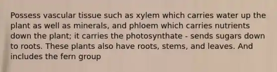 Possess vascular tissue such as xylem which carries water up the plant as well as minerals, and phloem which carries nutrients down the plant; it carries the photosynthate - sends sugars down to roots. These plants also have roots, stems, and leaves. And includes the fern group