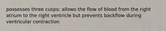 possesses three cusps; allows the flow of blood from the right atrium to the right ventricle but prevents backflow during ventricular contraction