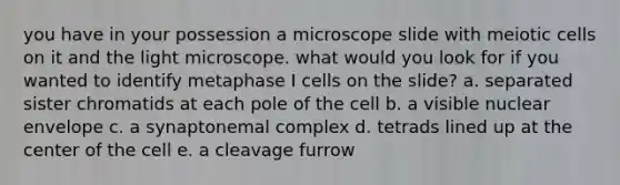 you have in your possession a microscope slide with meiotic cells on it and the light microscope. what would you look for if you wanted to identify metaphase I cells on the slide? a. separated sister chromatids at each pole of the cell b. a visible nuclear envelope c. a synaptonemal complex d. tetrads lined up at the center of the cell e. a cleavage furrow