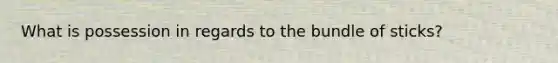 What is possession in regards to the bundle of sticks?