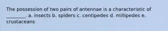 The possession of two pairs of antennae is a characteristic of ________. a. insects b. spiders c. centipedes d. millipedes e. crustaceans