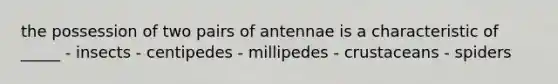 the possession of two pairs of antennae is a characteristic of _____ - insects - centipedes - millipedes - crustaceans - spiders