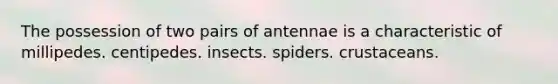 The possession of two pairs of antennae is a characteristic of millipedes. centipedes. insects. spiders. crustaceans.