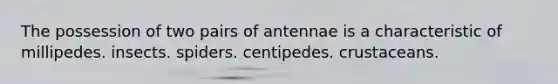 The possession of two pairs of antennae is a characteristic of millipedes. insects. spiders. centipedes. crustaceans.