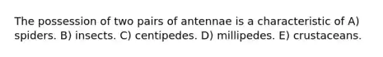 The possession of two pairs of antennae is a characteristic of A) spiders. B) insects. C) centipedes. D) millipedes. E) crustaceans.