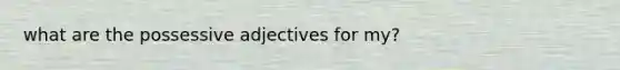 what are the possessive adjectives for my?