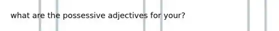 what are the possessive adjectives for your?