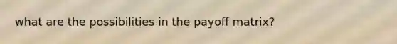 what are the possibilities in the payoff matrix?