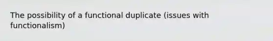 The possibility of a functional duplicate (issues with functionalism)