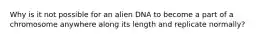 Why is it not possible for an alien DNA to become a part of a chromosome anywhere along its length and replicate normally?