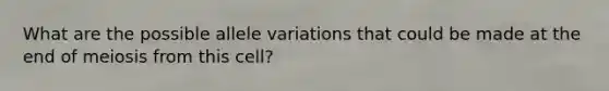 What are the possible allele variations that could be made at the end of meiosis from this cell?