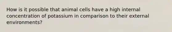 How is it possible that animal cells have a high internal concentration of potassium in comparison to their external environments?