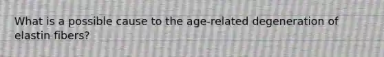 What is a possible cause to the age-related degeneration of elastin fibers?