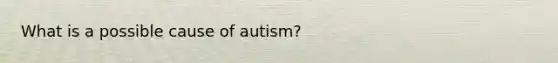 What is a possible cause of autism?