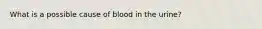 What is a possible cause of blood in the urine?