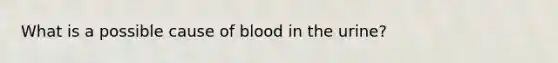 What is a possible cause of blood in the urine?