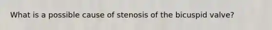 What is a possible cause of stenosis of the bicuspid valve?