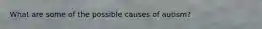 What are some of the possible causes of autism?