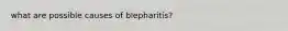 what are possible causes of blepharitis?