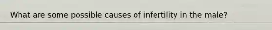 What are some possible causes of infertility in the male?