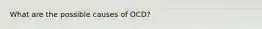 What are the possible causes of OCD?