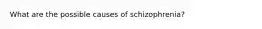 What are the possible causes of schizophrenia?